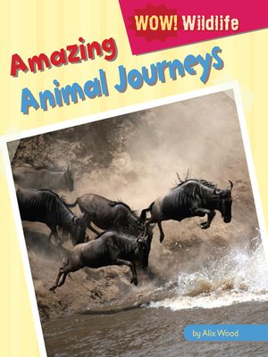 cover image of Amazing Animal Journeys